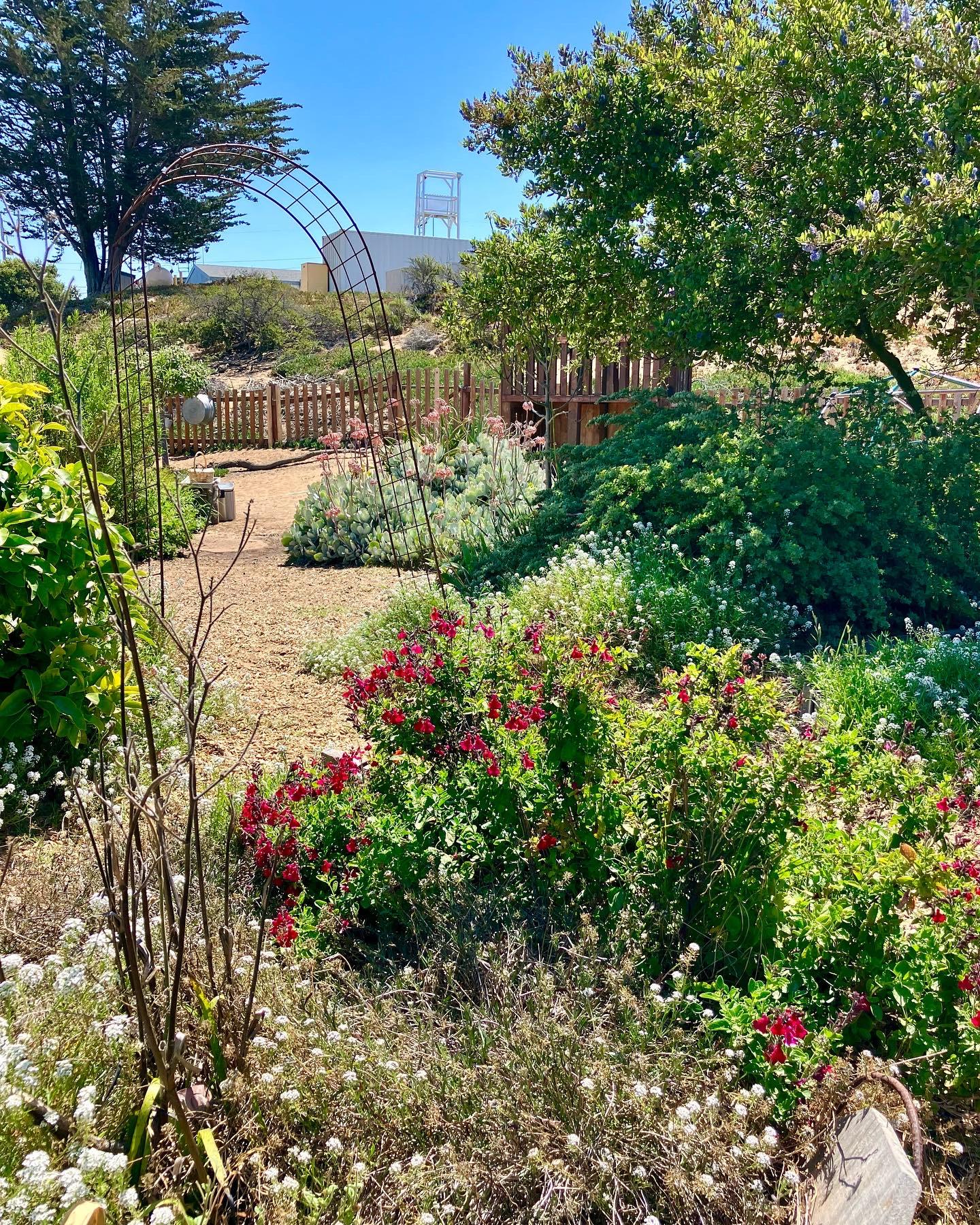 3ba3a910 31e1 4666 Ad92 796ce50e3d15